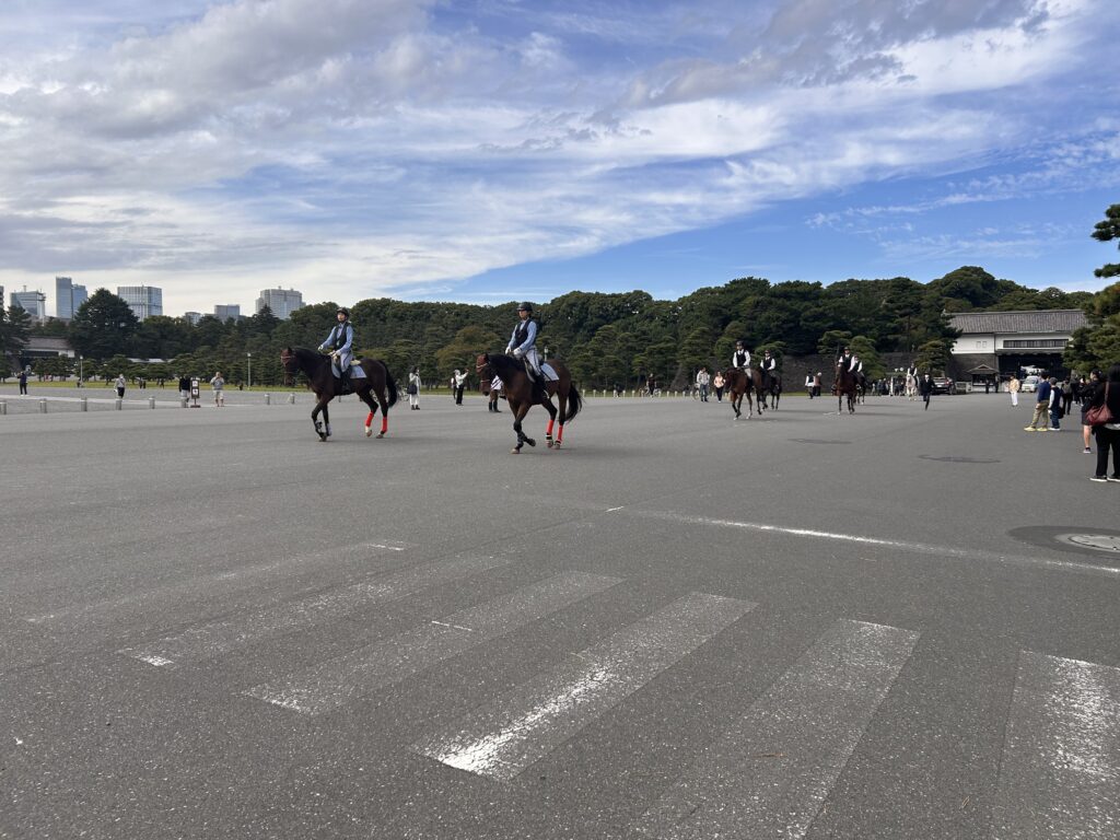 皇居　馬